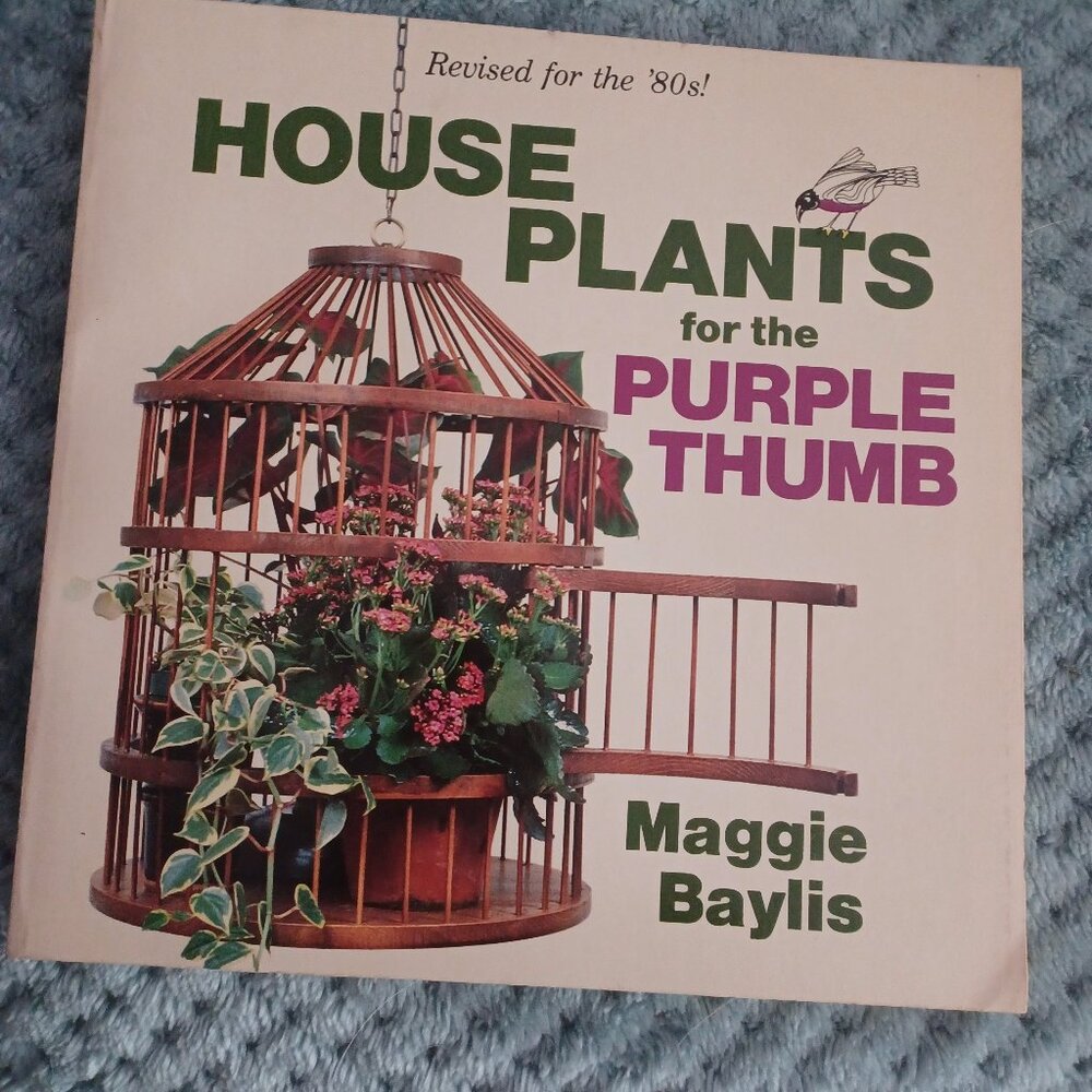House Plants for the Purple Thumb, By Maggie Baylis